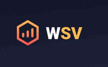 W-sv company