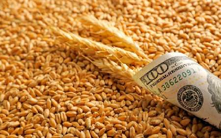 Wheat prices soared to a high